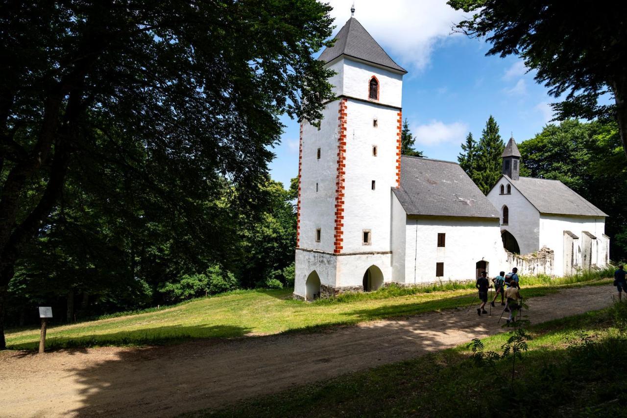Pohorje Village Wellbeing Resort - Forest Hotel Videc Hočko Pohorje Eksteriør billede