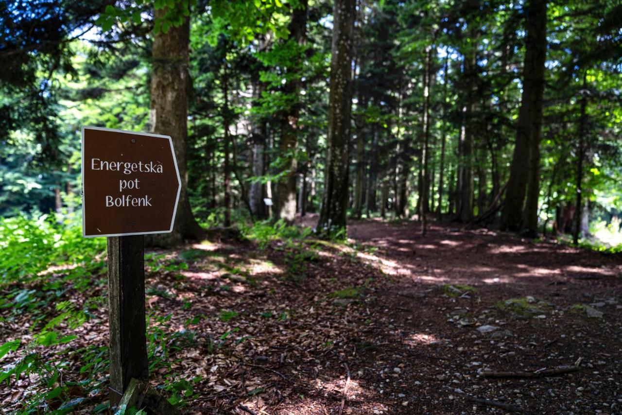 Pohorje Village Wellbeing Resort - Forest Hotel Videc Hočko Pohorje Eksteriør billede