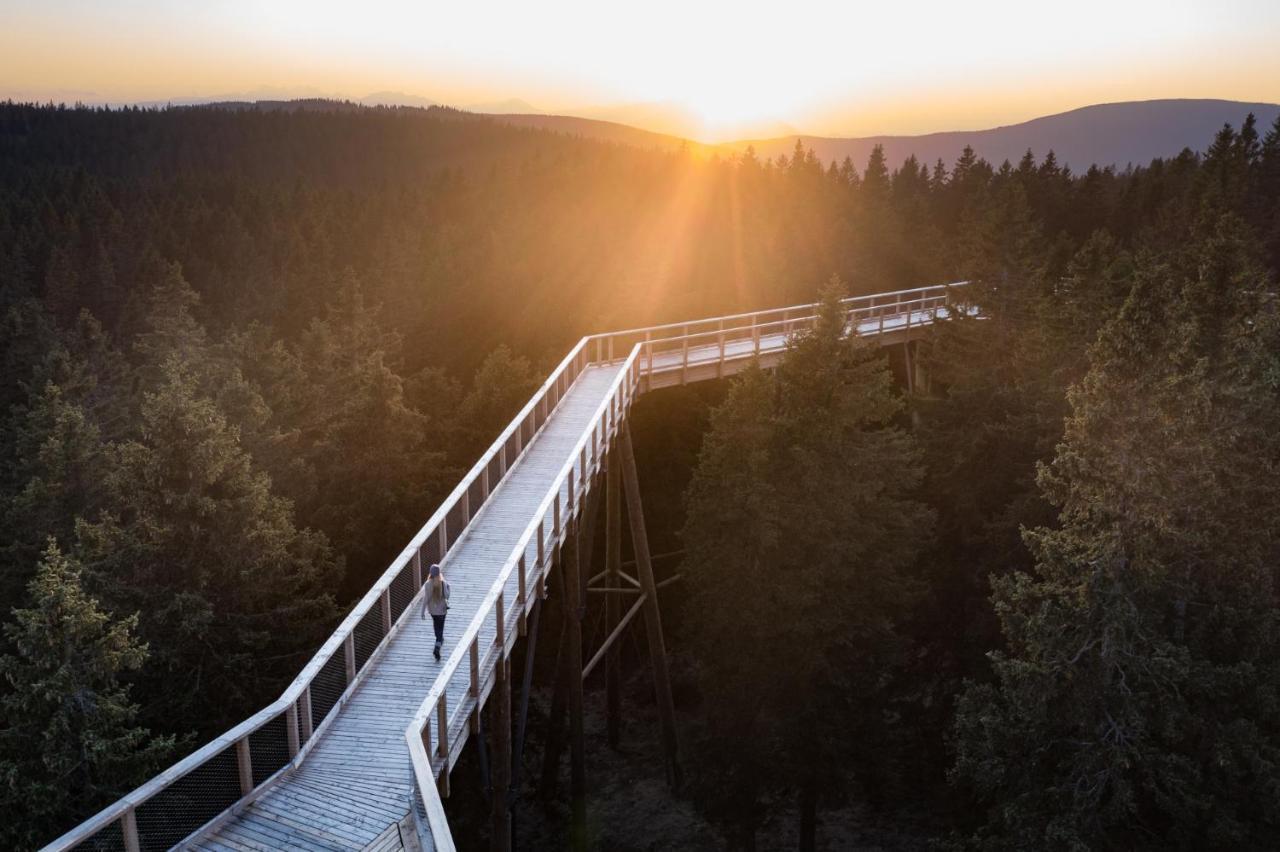 Pohorje Village Wellbeing Resort - Forest Hotel Videc Hočko Pohorje Eksteriør billede