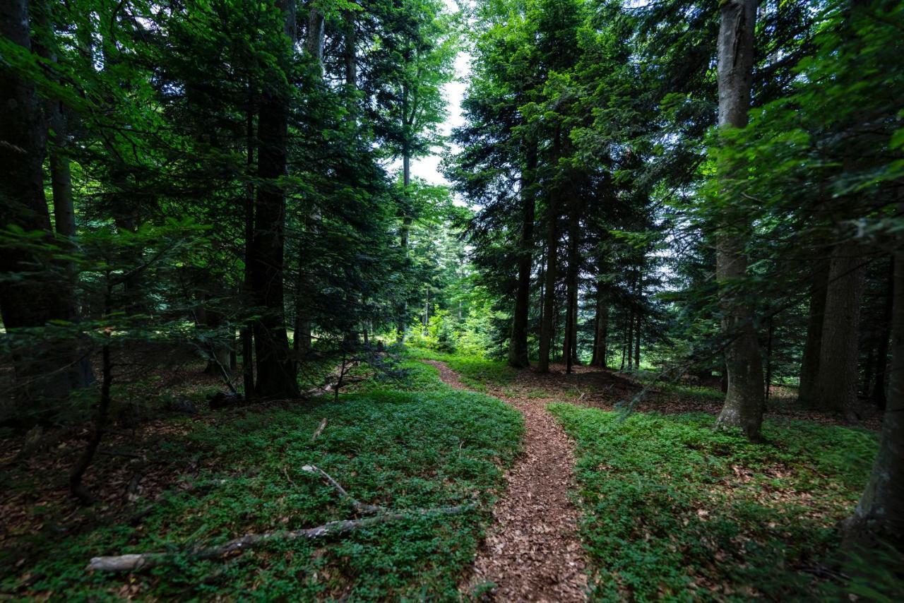 Pohorje Village Wellbeing Resort - Forest Hotel Videc Hočko Pohorje Eksteriør billede