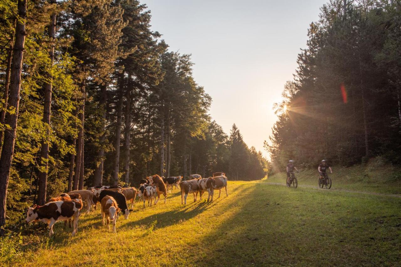 Pohorje Village Wellbeing Resort - Forest Hotel Videc Hočko Pohorje Eksteriør billede