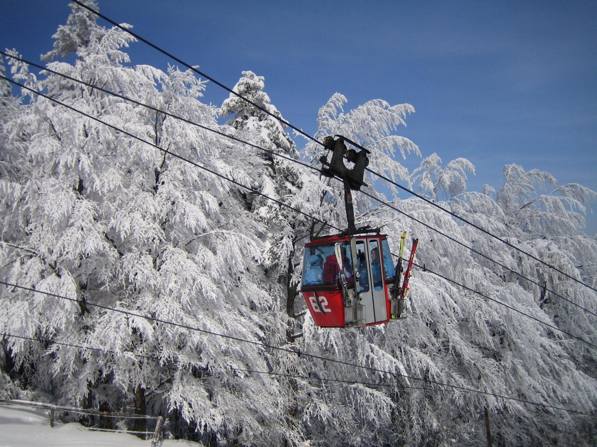 Pohorje Village Wellbeing Resort - Forest Hotel Videc Hočko Pohorje Eksteriør billede